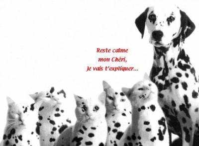 reste calme mon chéri,